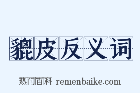貔皮反义词是什么意思的图片